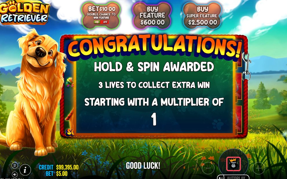 Münzwerte auf dem gesamten Raster bei Hold and Spin