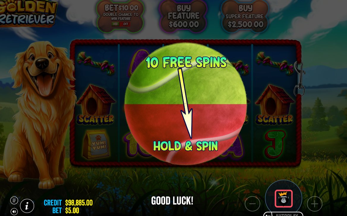 Hold and Spin mit Münzsymbolen und Respins